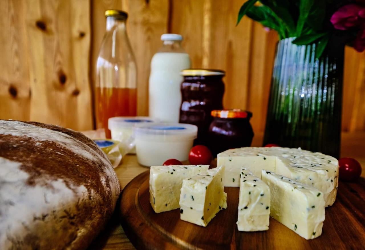 Hotel Glamping Brodej Vitanje Zewnętrze zdjęcie