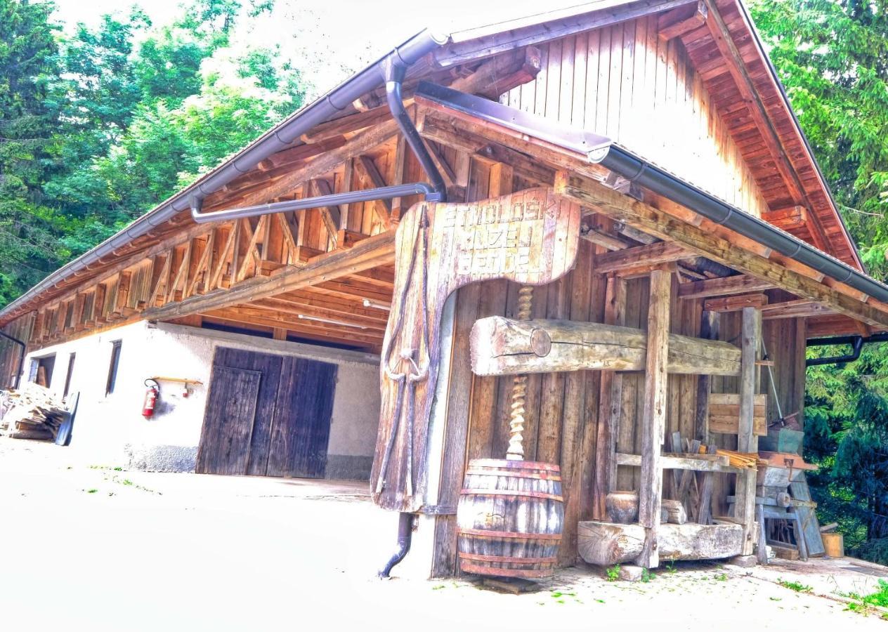 Hotel Glamping Brodej Vitanje Zewnętrze zdjęcie